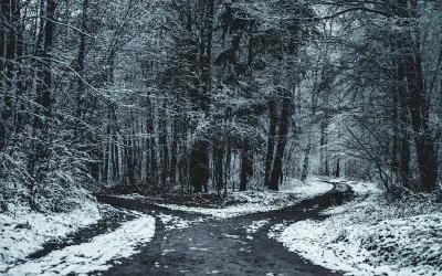 Agile in Theory, Waterfall in Interviews