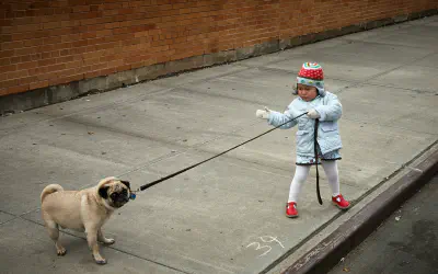 Deriving Your Real Architectural Drivers