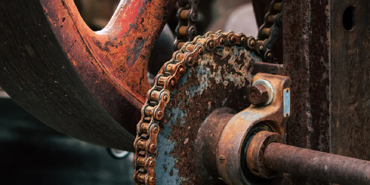 Modular by Design: Crafting Evolvable Architectures